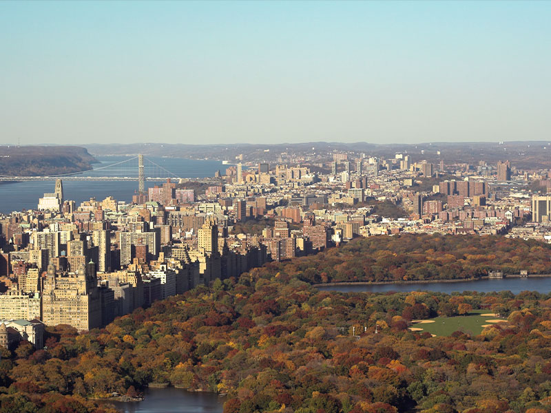 Neighborhood - West Side